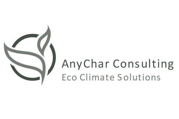 Logo Anychar Consulting