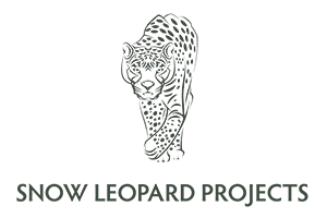 snow_leopard_projects
